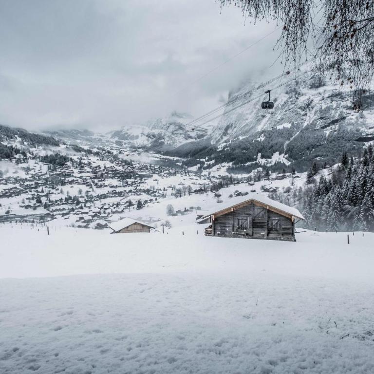 Eigerhome - The Cottage mit Wellness - GRIWA RENT AG - Vacation Home - 29