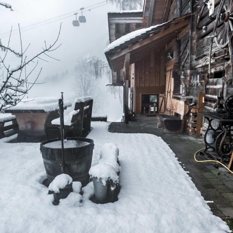 Eigerhome - The Cottage mit Wellness - GRIWA RENT AG - Vacation Home - 28