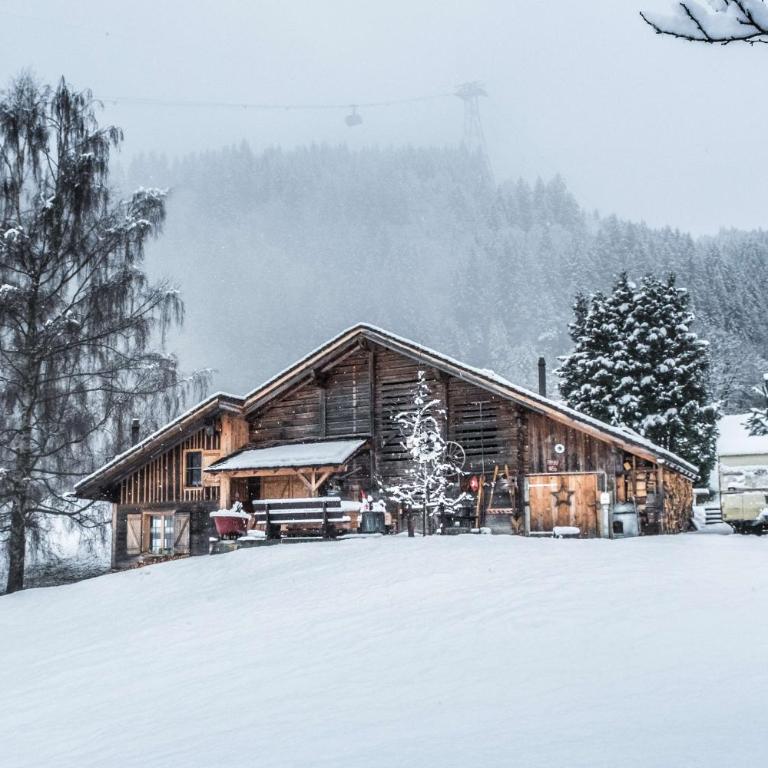 Eigerhome - The Cottage mit Wellness - GRIWA RENT AG - Vacation Home - 32