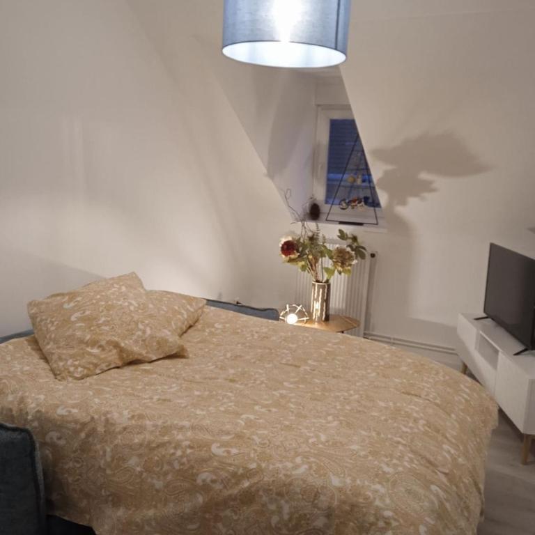 La Mulhousienne F3 Centre ville - Apartamento de 2 dormitorios - 19