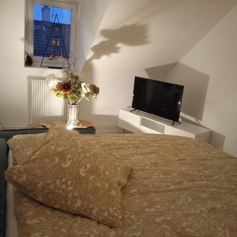 La Mulhousienne F3 Centre ville - Apartamento de 2 dormitorios - 6