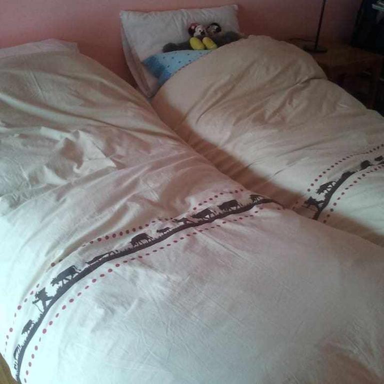 Joie de Vivre - Gressoney St. Jean - Appartamento con 2 Camere da Letto - 20