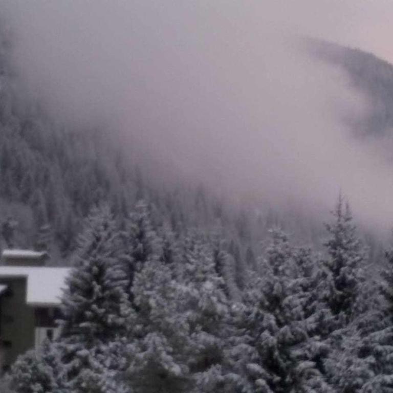 Joie de Vivre - Gressoney St. Jean - Appartamento con 2 Camere da Letto - 30