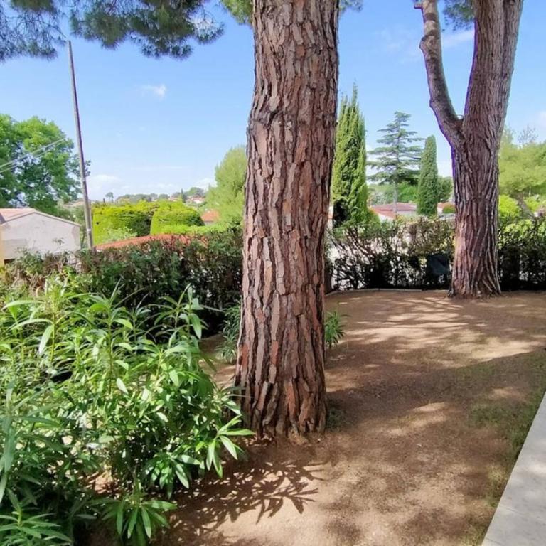 Appartamento Cod 466 - Taunus Vacanze CON PISCINA E SPIAGGIA INCLUSI - Three-Bedroom Apartment - 26