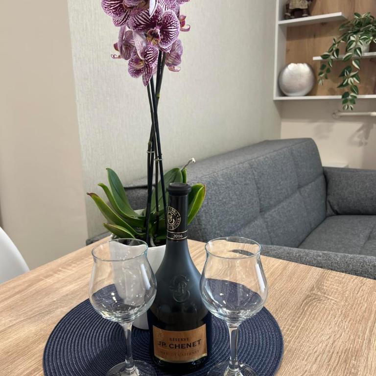 Blue Nest - Apartman sa 1 Spavaćom Sobom - 4