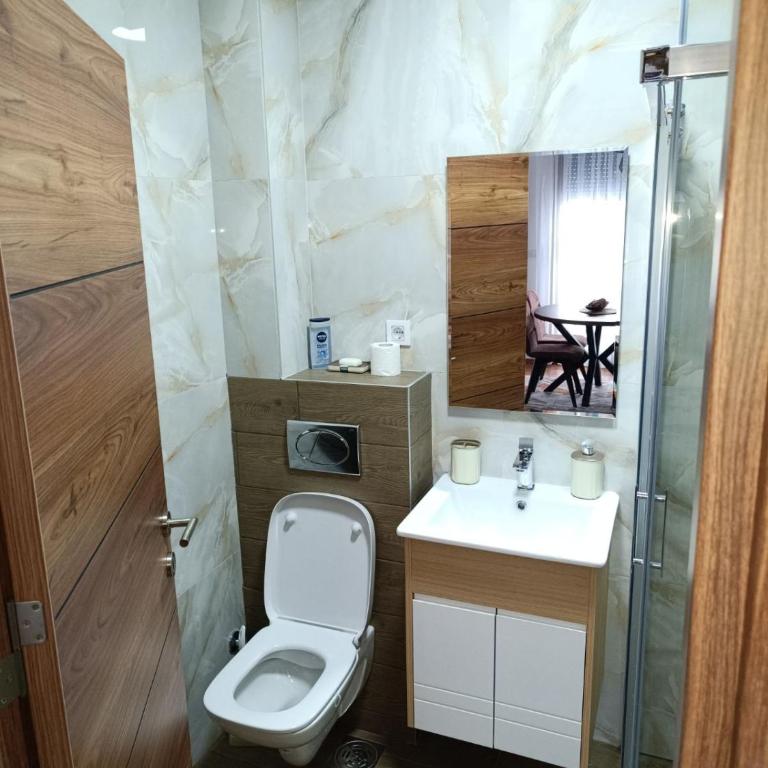 Apartman Spasic - Apartman sa 1 Spavaćom Sobom - 5