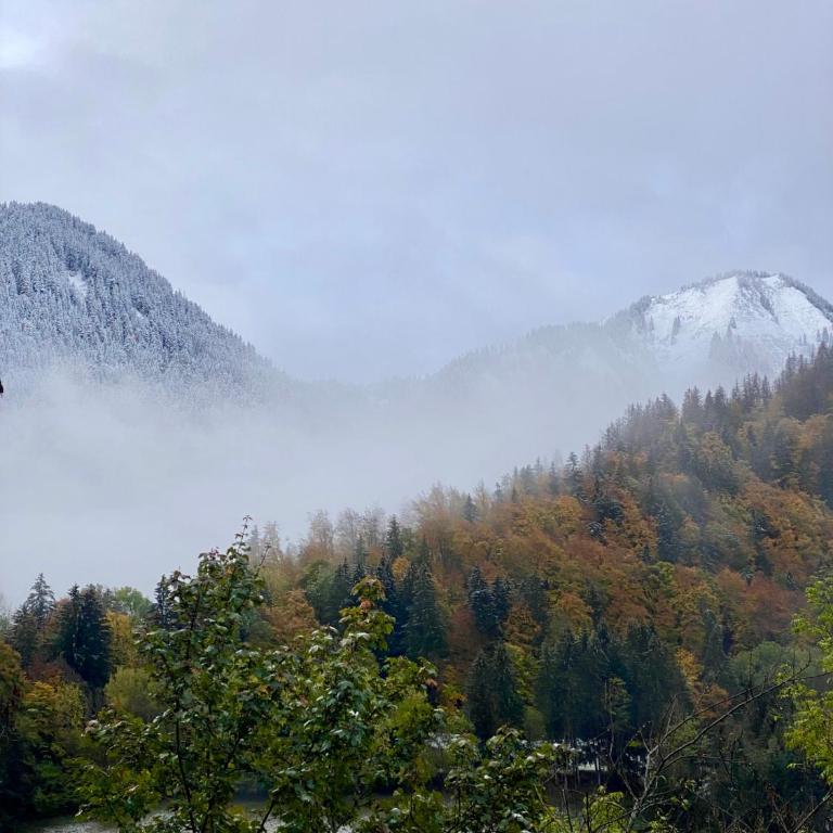 Warm and Stylish Boutique Lodge L'Etoile de Savoie - Chalet 3 Chambres - 40