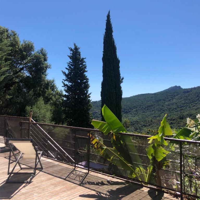 Villa overlooking the Esterel, private swimming pool - Villa - 3