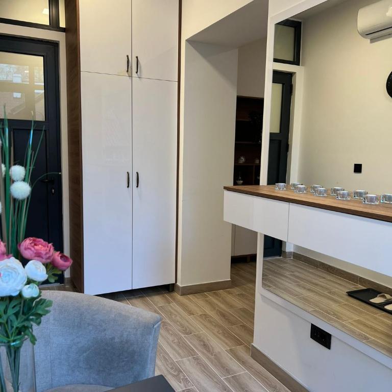 Top Slavija Apartment - Apartman sa 1 Spavaćom Sobom - 7