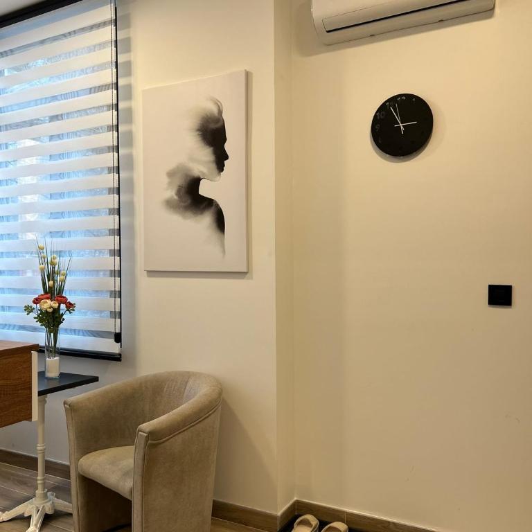 Top Slavija Apartment - Apartman sa 1 Spavaćom Sobom - 5