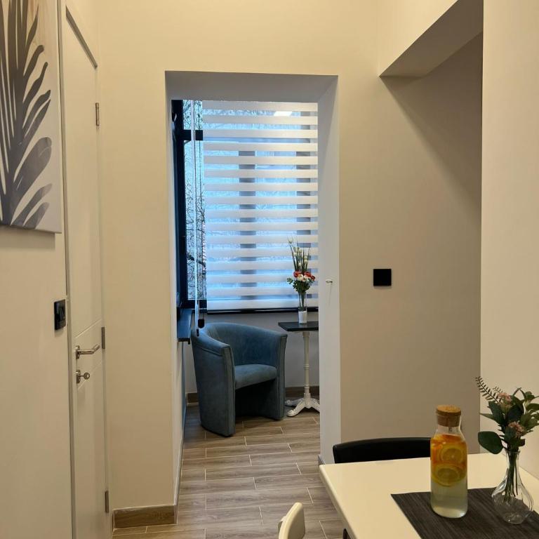 Top Slavija Apartment - Apartman sa 1 Spavaćom Sobom - 12