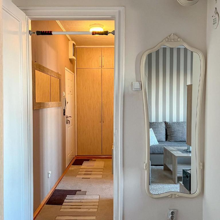 Grand Apartment - Apartman sa 1 Spavaćom Sobom - 7