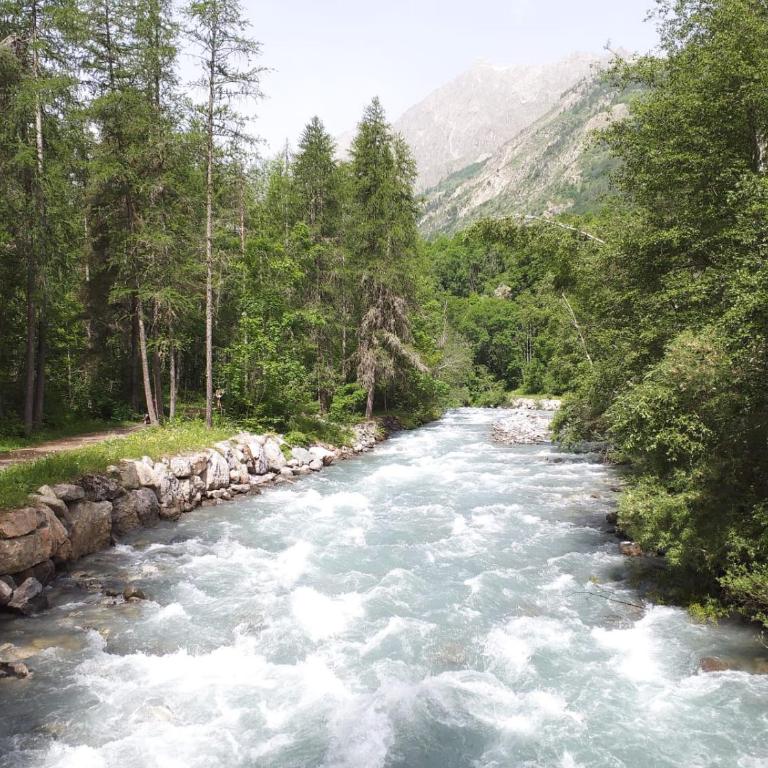 LES ECRINS - Appartement 1 Chambre - 18