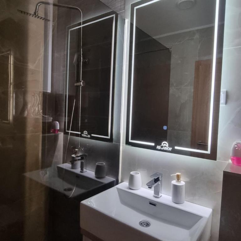 Vila Jahor - Apartmani Trifković - Apartman sa 1 Spavaćom Sobom - 17