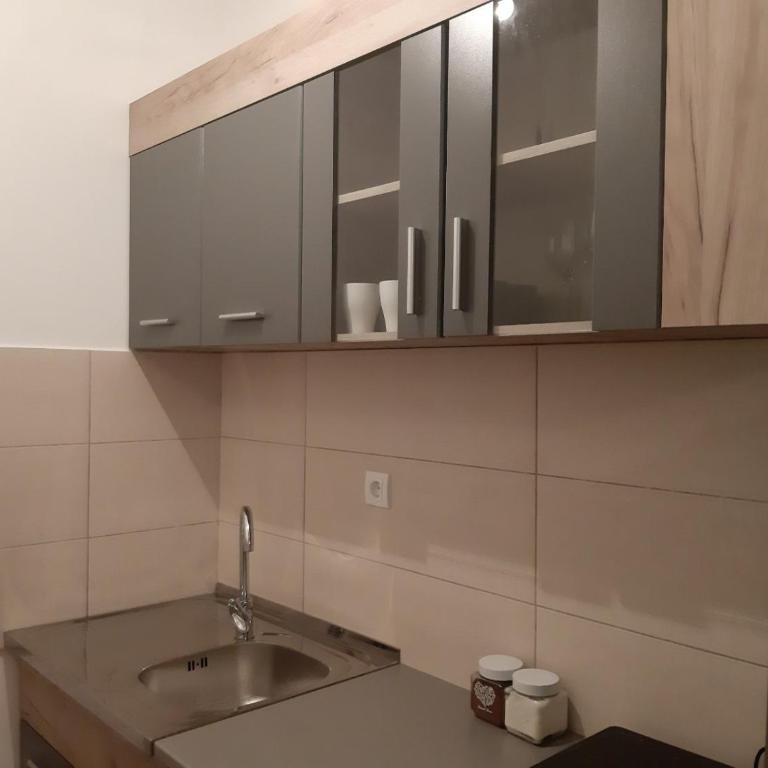 S&B Apartman Vrnjačka Banja - Apartman sa 1 Spavaćom Sobom - 1
