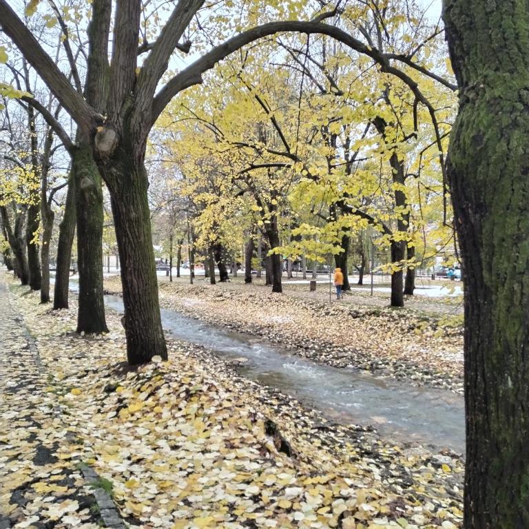 S&B Apartman Vrnjačka Banja - Apartman sa 1 Spavaćom Sobom - 8