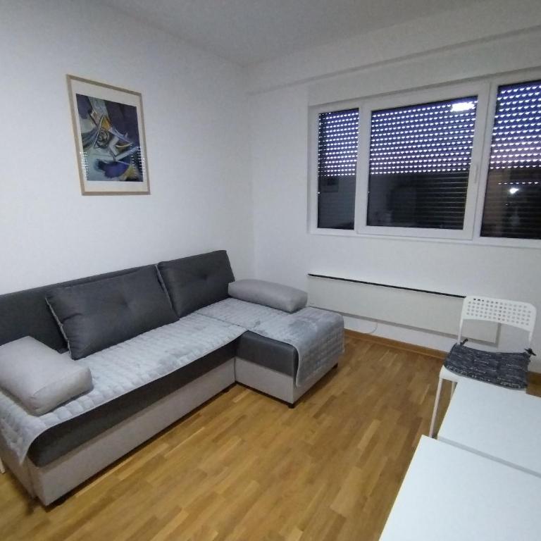S&B Apartman Vrnjačka Banja - Apartman sa 1 Spavaćom Sobom - 9