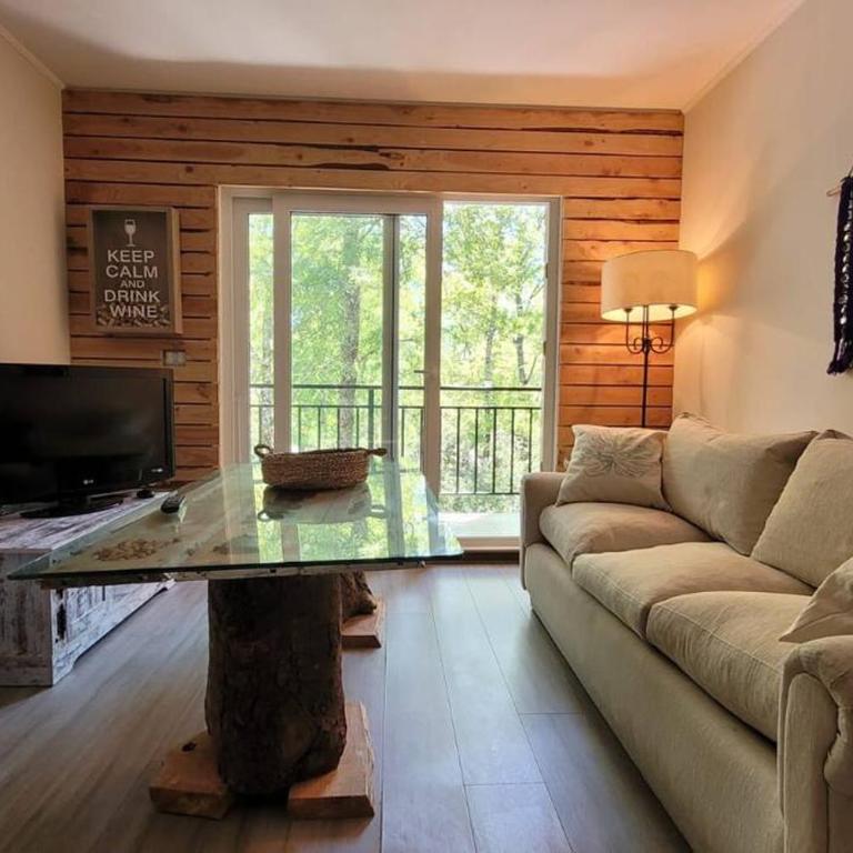 Departamento en la magia del sur - Apartamento de 2 dormitorios - 1