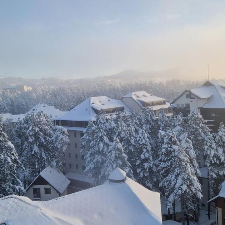 Relax Residence Zlatibor Free Parking Garage - Apartman sa 1 Spavaćom Sobom - 43