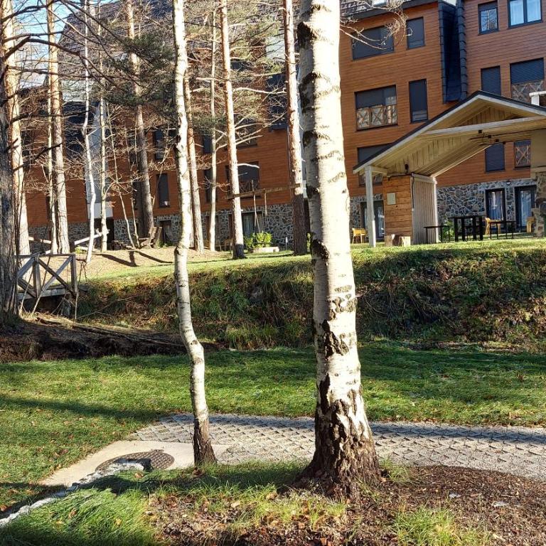 Mountain Dreams - Three-Bedroom Apartment - 20