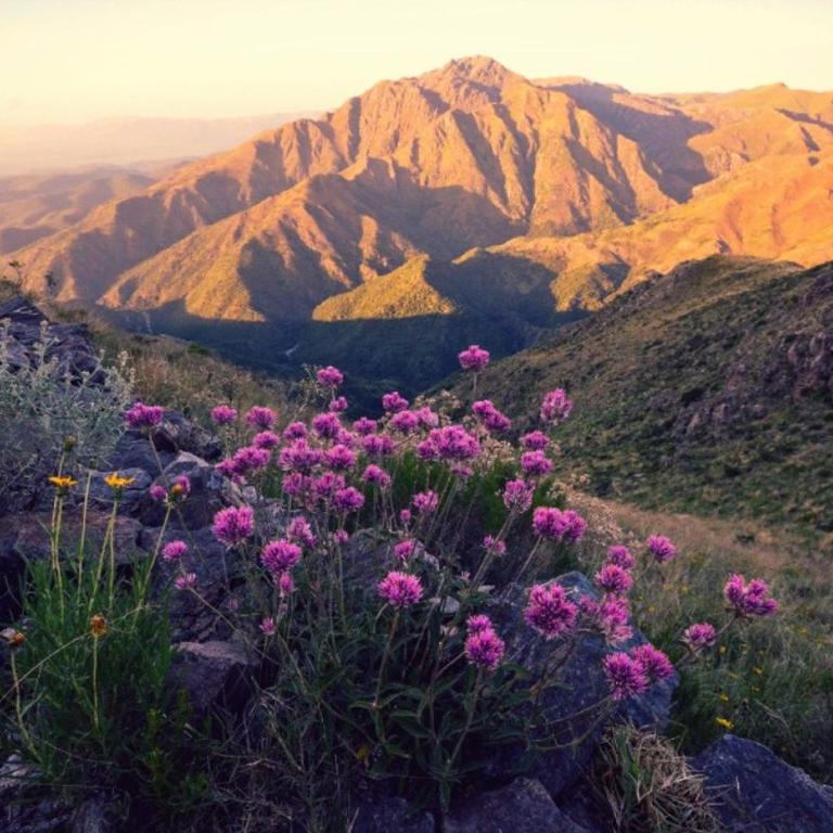 Chalet y Cabaña de montaña Esmeralda - Apartamento de 1 dormitorio - 12