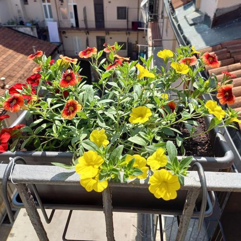 Centralissimo nel cuore del quadrilatero di Torino - Monolocale con Balcone - 1