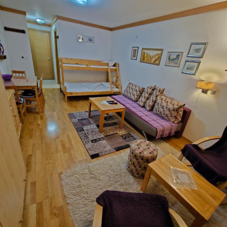 Apartments Rapid - Apartment with Mountain View - 7