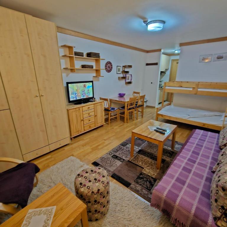 Apartments Rapid - Apartment with Mountain View - 6