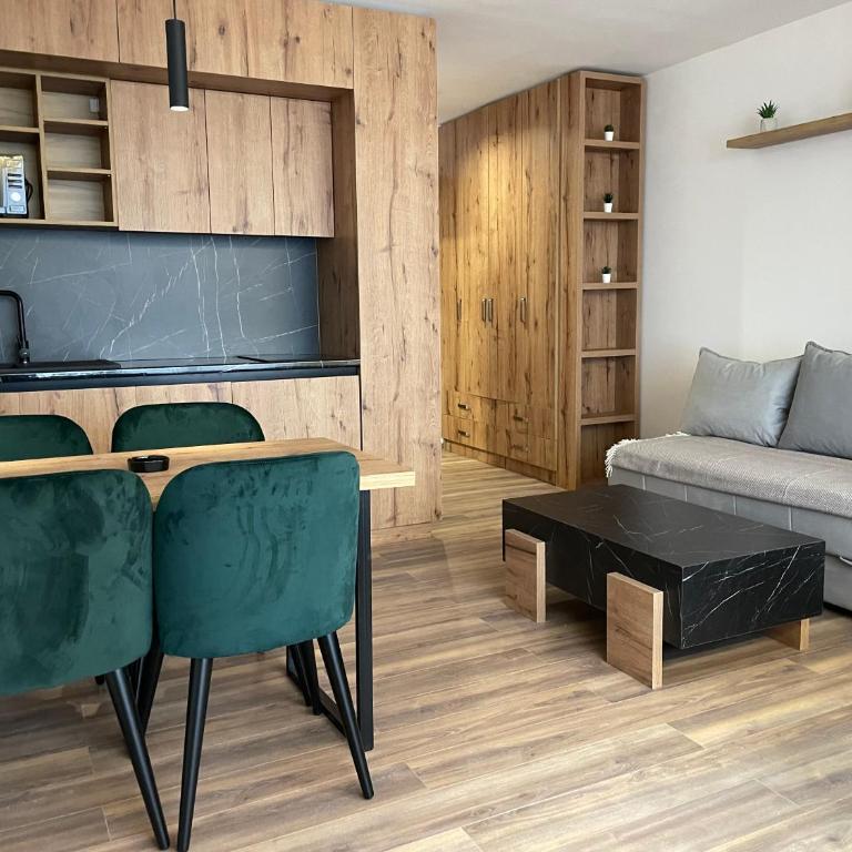 Grand Apartman Kopaonik - Studio Apartment - 11
