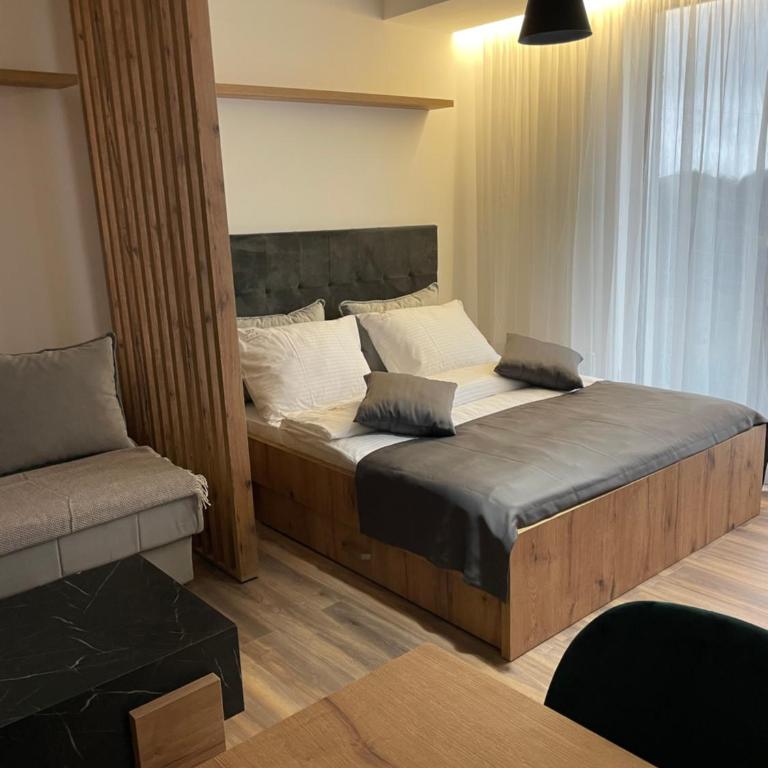 Grand Apartman Kopaonik - Studio Apartment - 10