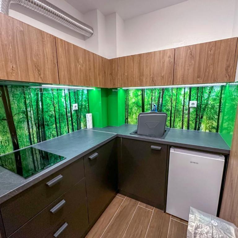 Hrast Apartman Šestosjed Trnovo - Apartman sa 2 Spavaće Sobe - 1