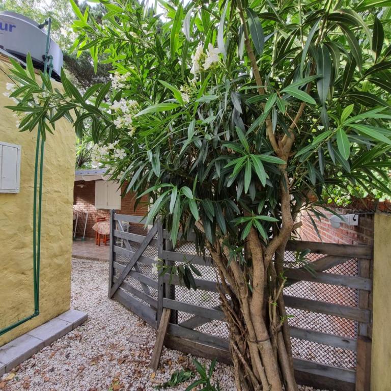 El buen descanso - Casa con 1 dormitorio - 28