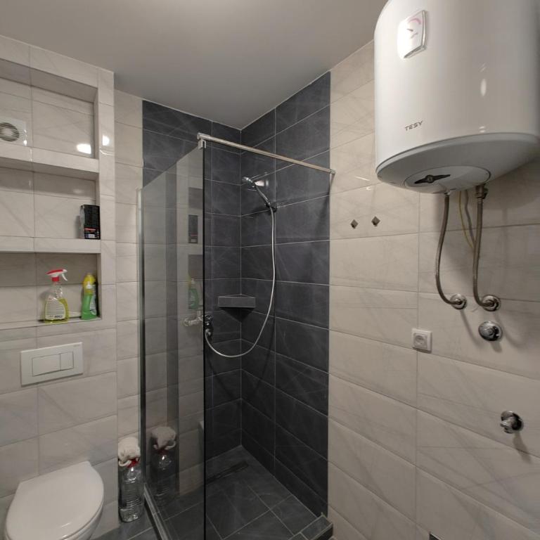 Studio apartman Pale - Studio Apartment - 12
