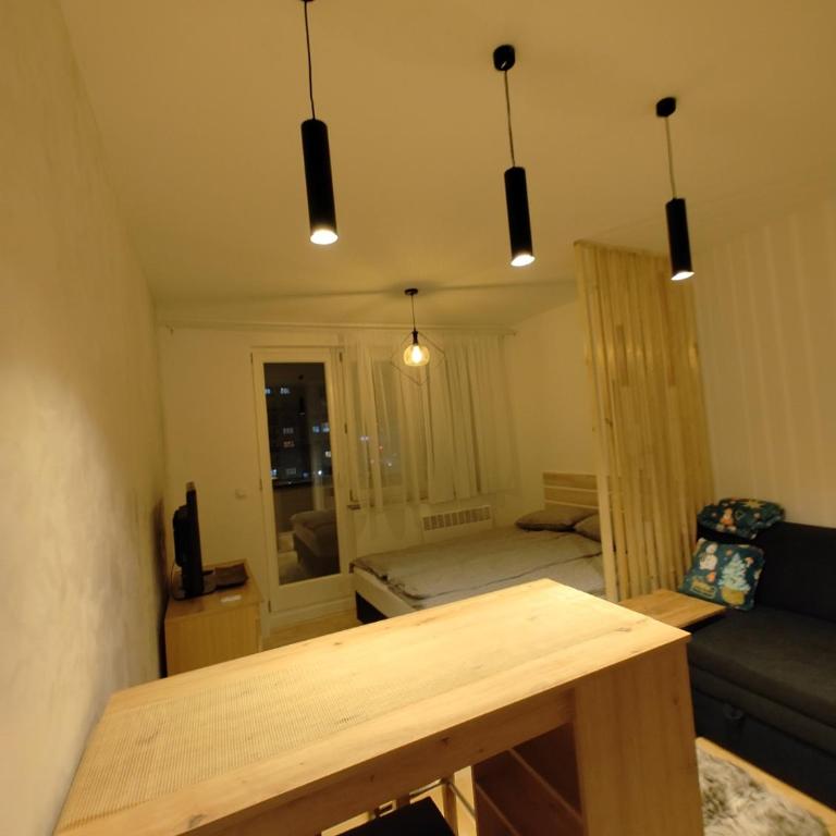 Studio apartman Pale - Studio Apartment - 16