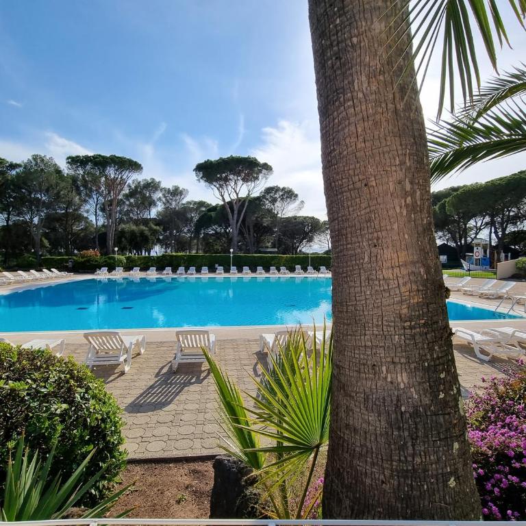 Studio 4P vue piscine St Raphaël Valescure - Au cœur des Golfs - Studio mit Poolblick - 16