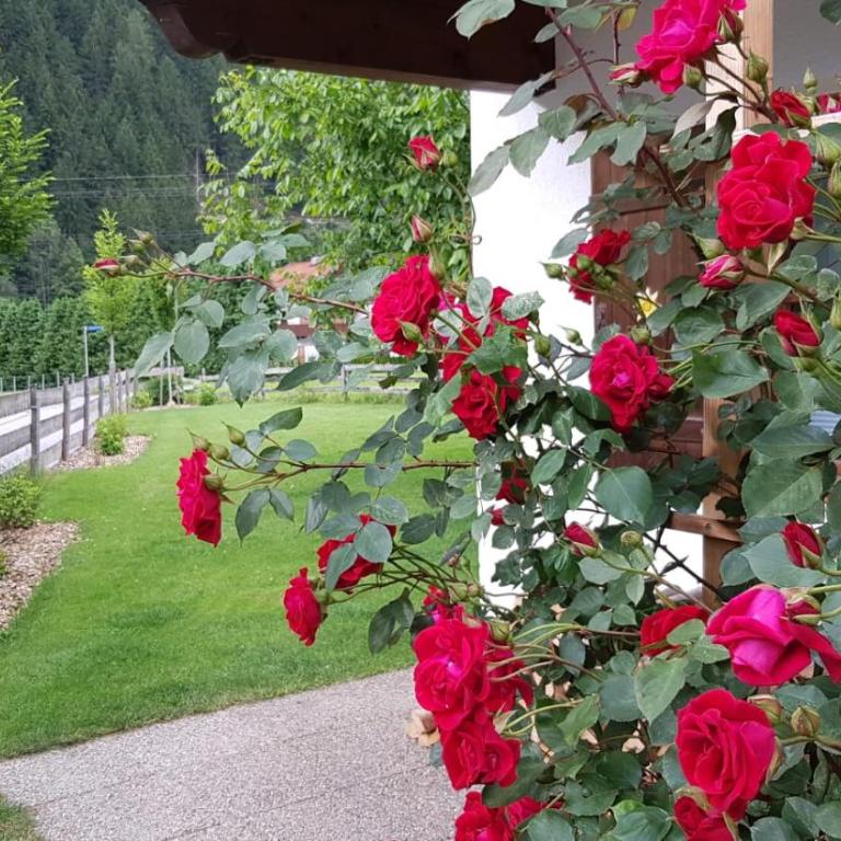 Gartenhaus Zur Kröllin - Haus mit 3 Schlafzimmern - 3