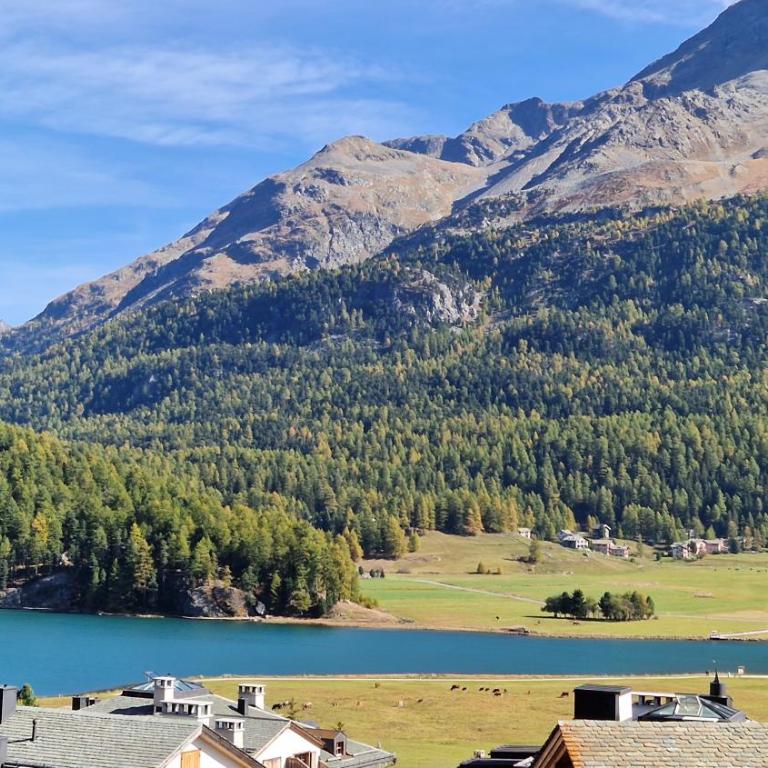 Chesa Bellaval, Haus Rizza 2-Zimmerwohnung - Apartment mit Seeblick - 13