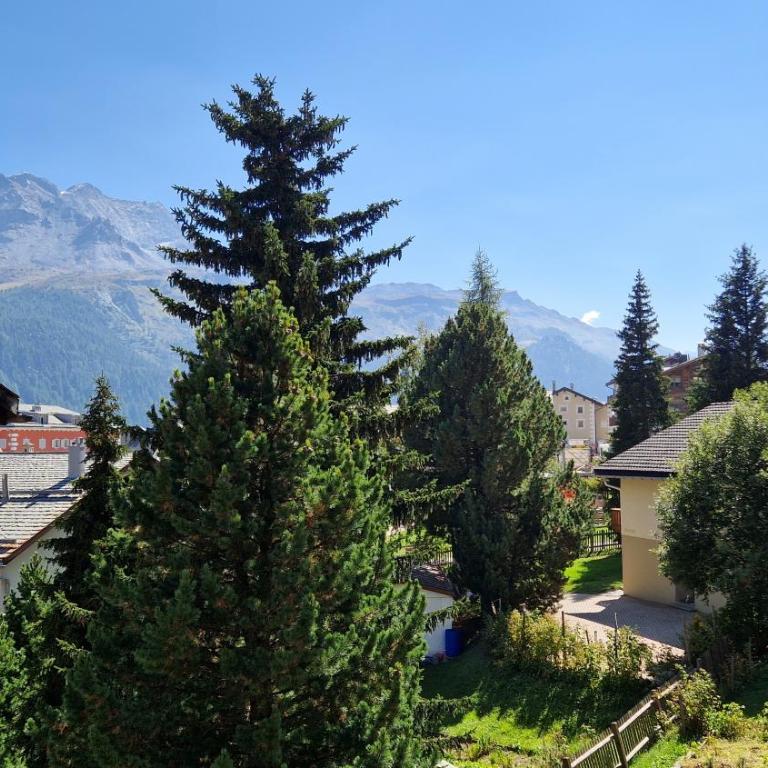 Chesa Bellaval, Haus la Vuolp 3 1 2-Zimmerwohnung - Apartment mit Blick auf die Berge - 13