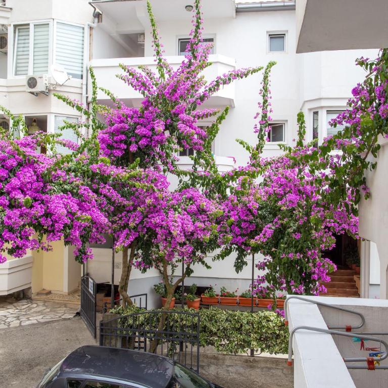 Guest House Violet - Studio sa Balkonom - 10