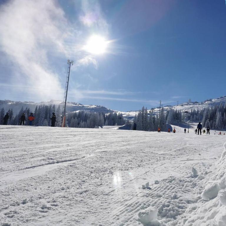 Apartman 107 in Aparthotel Vučko Jahorina - Ski & relax - private host - Apartment - 61