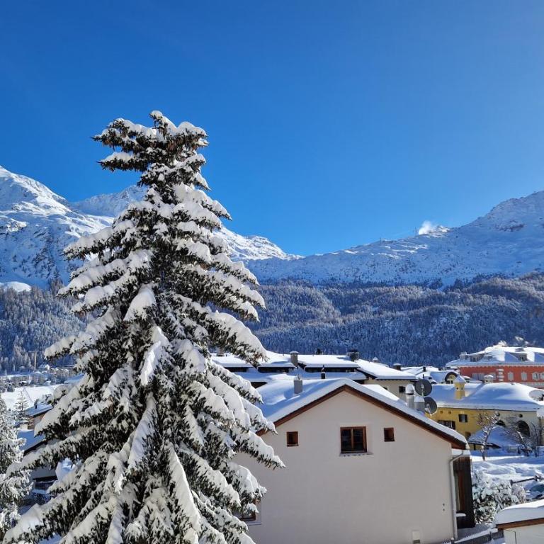 Chesa Bellaval, Haus la Vuolp 2 1 2 - Zimmerwohnung - Apartment mit Blick auf die Berge - 18