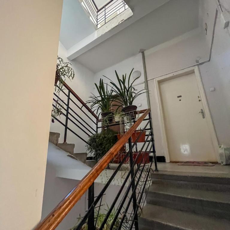 Two bedroom apartment near Slavija square - Apartman sa 1 Spavaćom Sobom - 22