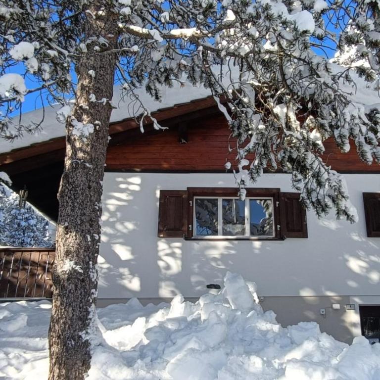 Chalet M - Chalet mit 2 Schlafzimmern - 19