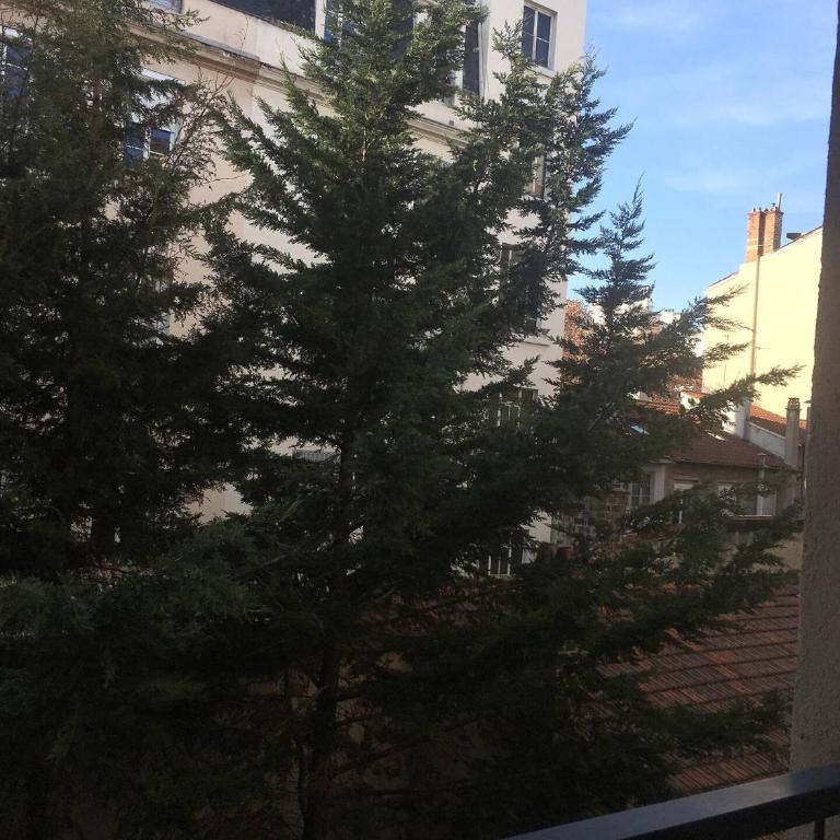 Le Vendôme - Shared Appartment - Chambre Double - Vue sur Jardin - 3