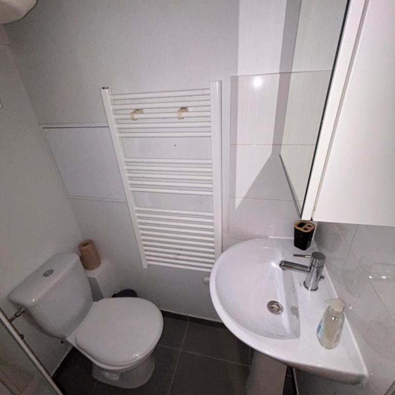 Le 11 - Joli F2 rénové, Mulhouse centre - stationnement gratuit - Appartamento con 1 Camera da Letto - 19