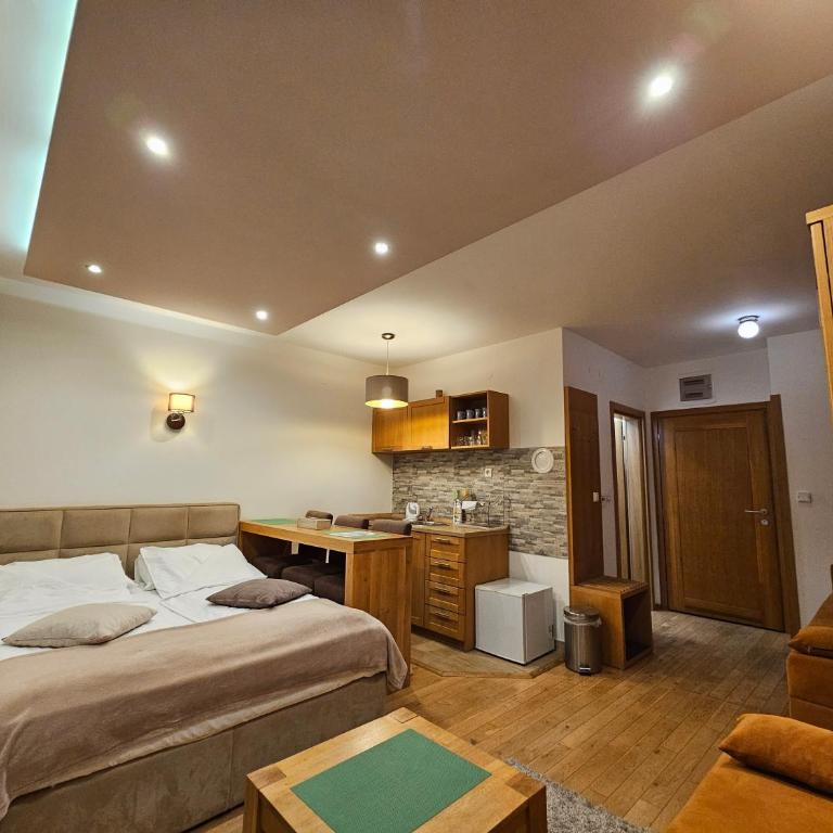 Apartments Rapid - Studio Apartment - 19