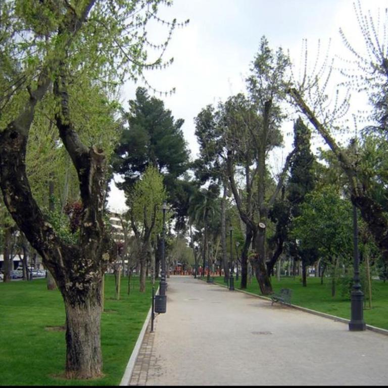 CENTER FLAT MEZQUITA - Three-Bedroom Apartment - 2