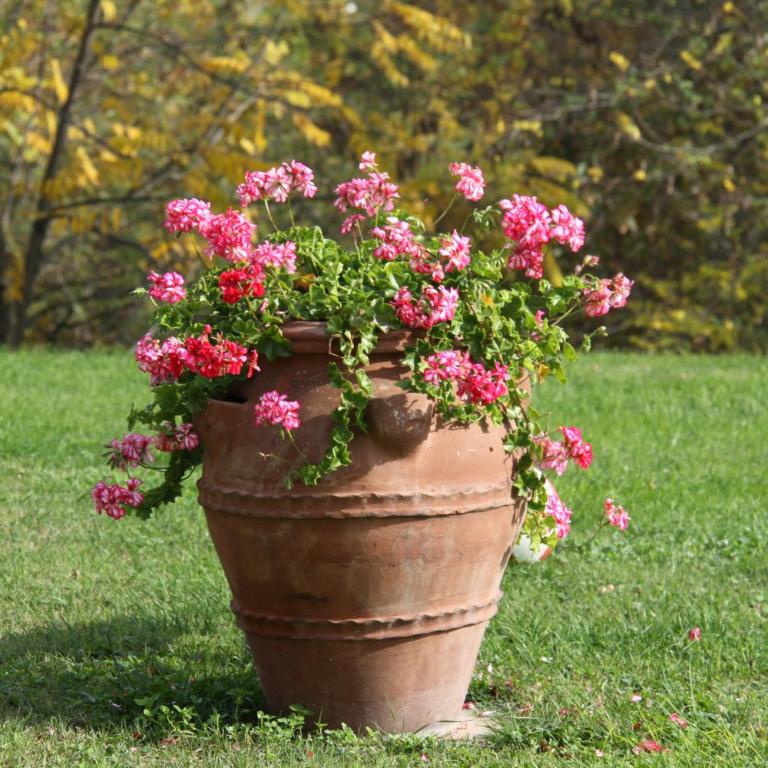 Il Cigliere your holiday home in the heart of Tuscany - Casa Vacanze - 6