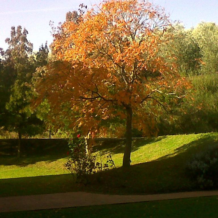 Il Cigliere your holiday home in the heart of Tuscany - Casa Vacanze - 20