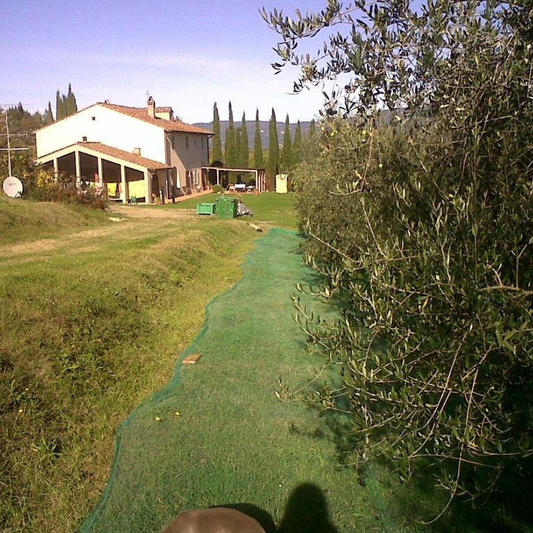 Il Cigliere your holiday home in the heart of Tuscany - Casa Vacanze - 24